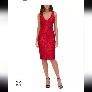 $139 Siena V-Neck Dress Sz 10 Women Embroidered-Mesh Sleeveless New Holiday